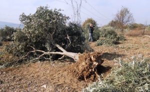 Kolin`in yeni termik santrali halkın görüşüne açıldı