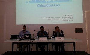 WWF: TR`nin kömür yolu Çin`den farklı