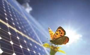 Vefa, güneş enerjisinden elektrik üretecek