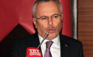 Mehmet Ceylan, Çevre Bakan Yardımcısı