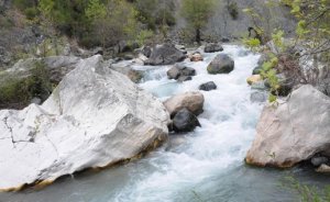 Antalya`daki 7 HES projesine durdurma