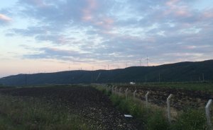 Yarasa yoksa santral de yok!