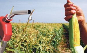 ABD'nin biyodizel üretimi yüzde 20 arttı