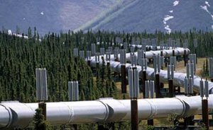 TAP'ın yüzde 20'si tamamlandı