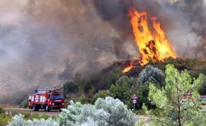 Orman yangınları ve elektrik şebekeleri