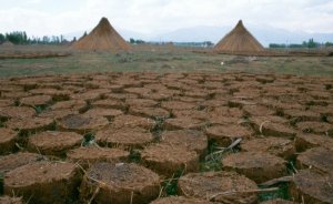 Anadolu kadınının linyiti: Tezek…
