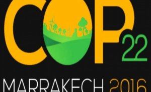 Marakeş iklim zirvesi başladı