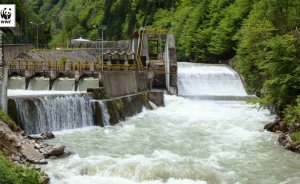 WWF: Nükleer ve madencilik SÇD'ye dahil edilmeli