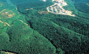 Orman köylüsü güneşten elektrik üretecek