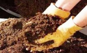 Balıkesir'de hayvan ve bitki atıkları elektriğe dönüşecek