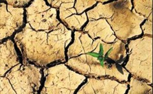 Al Gore: Türkiye’nin yarısı çöl olabilir