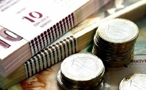 BOTAŞ, TPAO ve Eti Maden Varlık Fonu'na devredildi