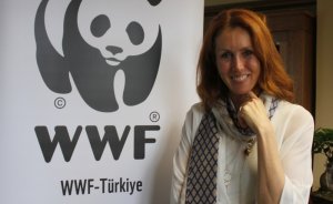 WWF-Türkiye Genel Müdürü Aslı Pasinli oldu