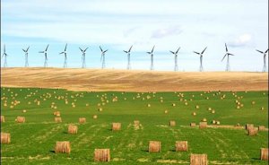 İsveç’te öncelik iklim ve çevre yatırımlarının