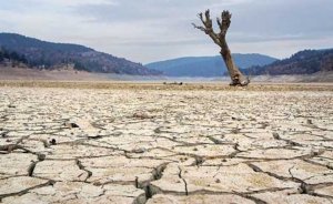 Kuraklık için eylem zamanı geldi mi? Dursun YILDIZ