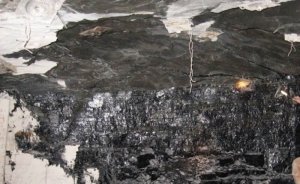 Norveç zarar eden 2 kömür madenini kapatacak