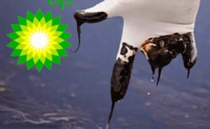 BP’den Meksika Körfezi petrol sızıntısı için yeni bir ödeme daha
