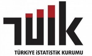 Elektrik ve doğalgaza ortalama ne kadar ödedik?