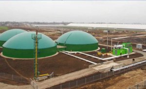 Başeğmezler: Türkiye’nin biyogaz potansiyeli 35 milyar kilovatsaat