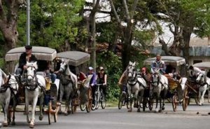 Adalar’a elektrikli arabalar da gelmesin - Haluk DİRESKENELİ