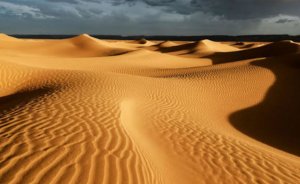 Rüzgar ve güneş enerjisi Sahra çölünü yeşillendirebilir