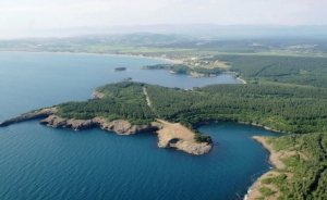 Japonya Sinop Nükleer Santrali'nden vaz mı geçiyor?