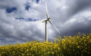 ABD’de 2019 rüzgarın yılı olacak