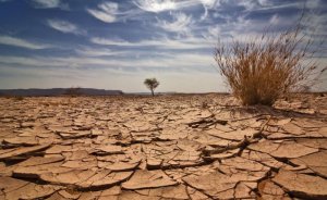 Greenpeace: Çevre, enerji sektörüne kurban ediliyor!