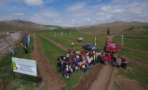 TANAP’tan Ankara’ya 50 bin ağaç