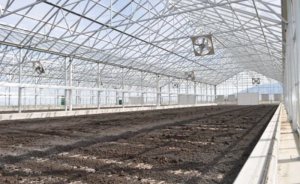 Kilis Belediyesi Solar Çamur Kurutma Tesisi kuracak