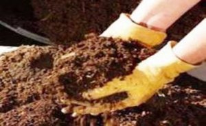 Süvari Enerji Mersin’de 3 MW’lık biyokütle santrali kuracak