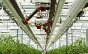 Manisa’da sera ısıtabilen bir jeotermal sahaya ruhsat verilecek