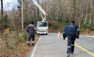 SEDAŞ’tan kesintisiz elektrik için lodos ile mücadele