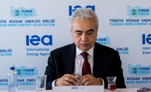 Birol: Yenilenebilir enerjiye teşvik tamamen yok olmamalı