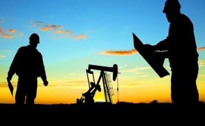 MCB Madencilik’in Mardin ve Şırnak’ta ruhsat talebi reddedildi