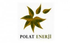 Polat Enerji'nin tamamı satılıyor