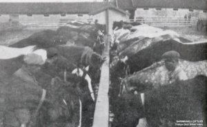 Sarımsaklı Çiftliği çalışanı nasıl ısındı? - Haluk DİRESKENELİ