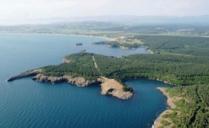 Sinop Nükleer Santrali için ÇED olumlu kararı verildi