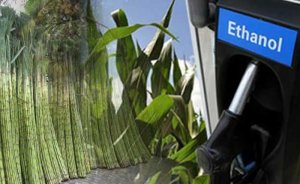 Benzine yerli etanol harmanlama oranı %3’ten %2’ye düştü