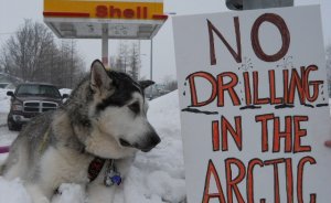 Shell Kuzey Buz Denizi’nde petrol arama faaliyetlerini erteledi