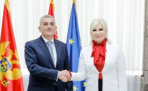 Sırbistan ve Karadağ enerji işbirliği yapacak