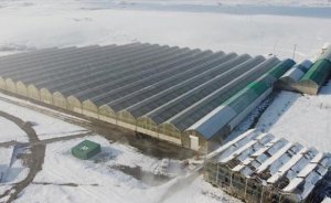 Diyadin Tarımsal OSB için ısıtma ve dağıtım şebekesi yapılacak