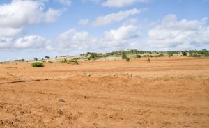 Madagaskar iklim değişikliği kıtlığı yaşıyor