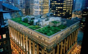 Fransa’da ticari çatılara ‘bitki veya panel’ zorunluluğu