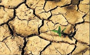 İtalya 70 yılın en şiddetli kuraklığı ile savaşıyor