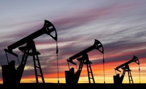 Arar Petrol’ün 7 ruhsatı BOTAŞ lehine iptal edildi