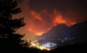 Avrupa’da yangınlar 700 bin hektarlık ormanı yok etti