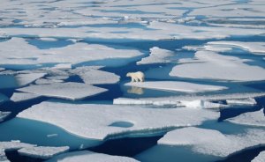 Rosatom Kuzey Kutbu sularının güvenliği için harekete geçti