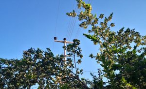 Kemer-Finike enerji iletim hattı yenilenecek