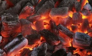 Bolu’nun orman atıklarından mangal kömürü üretilecek